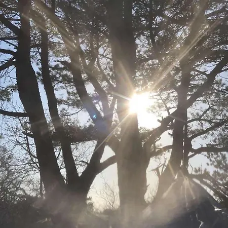 Brightside * كريستينساند