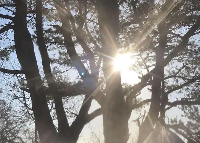 Brightside * Kristiansand