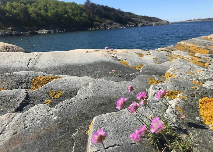 Lägenhet Brightside *